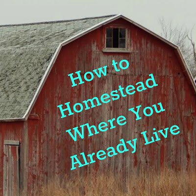 How to Homestead Where You Already Live