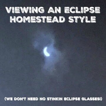 Viewing An Eclipse Homestead Style (We don’t need no stinkin eclipse glasses!)