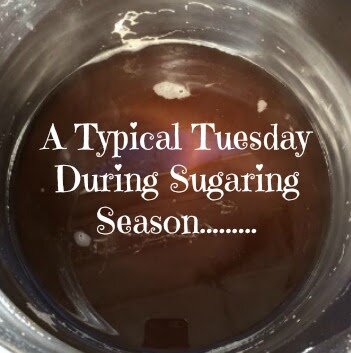A Typical Tuesday During Sugaring Season