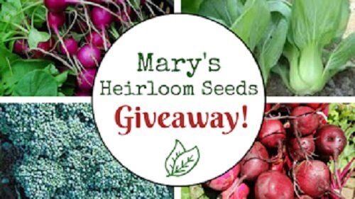 Mary’s Heirloom Seeds Giveaway