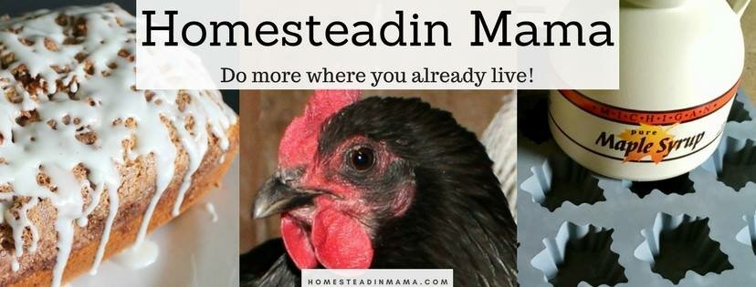 The (mis)Adventures of a Homesteadin' Mama